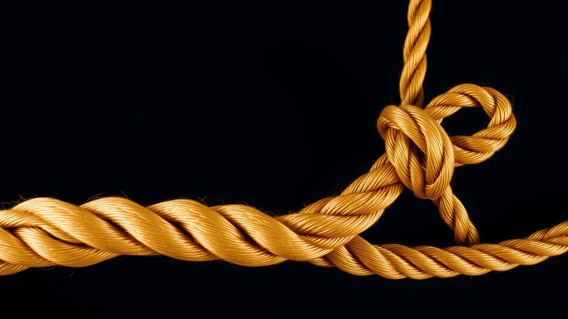Two gold ropes braided into one, symbolising partners and Wefttora delivering together